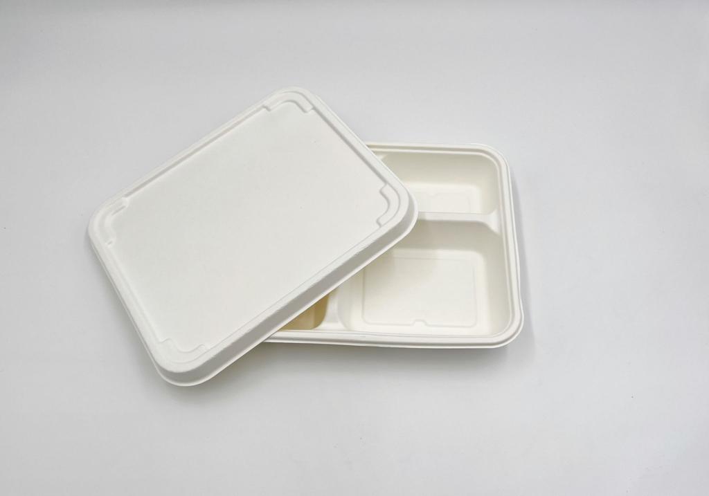 3 Compartment Food Tray