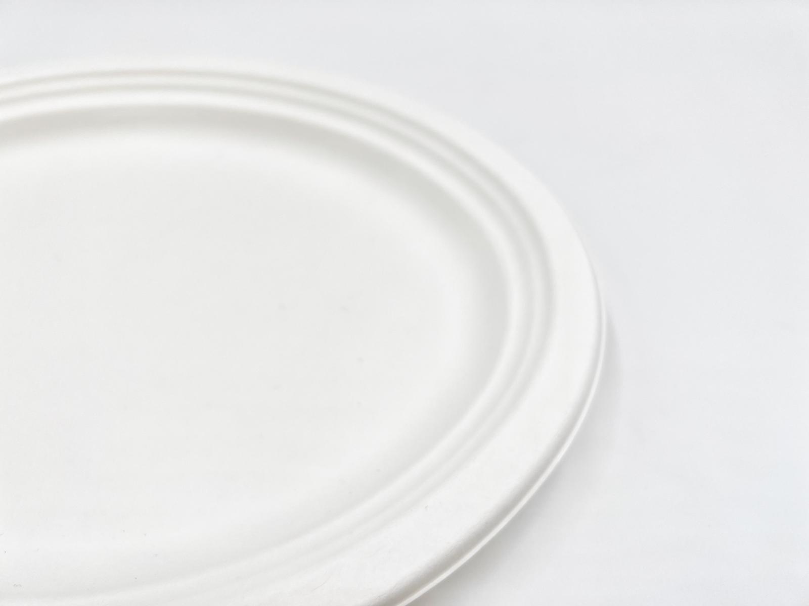 12 Inch Compostable Large Oval Serving Plate