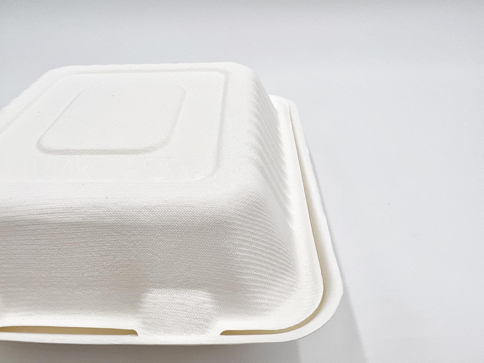 9 Inch To-go Box - 200/case