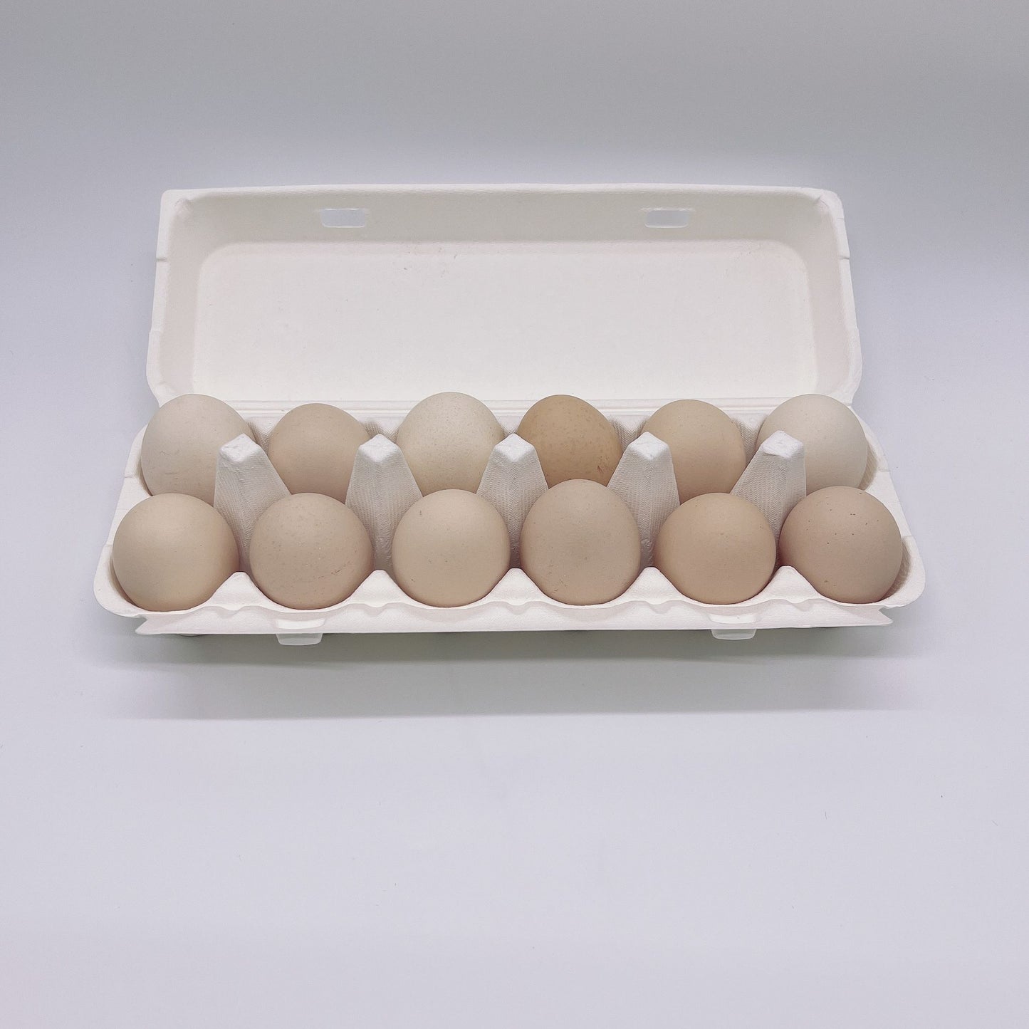 Sugarcane Egg Cartons - Disposable, Biodegradable - 100/case