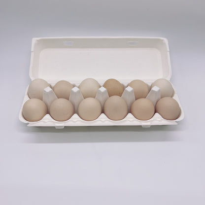 Sugarcane Egg Cartons - Disposable, Biodegradable - 100/case